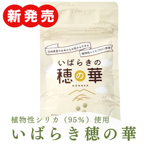 いばらきの穂の華＜割引価格＞